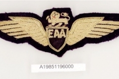 EAA-Pilot-Wing