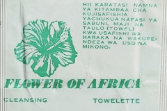 Towelette
